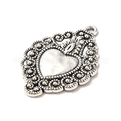 Tibetan Style Alloy Pendants&nbsp;X-PALLOY-M217-01I-AS
