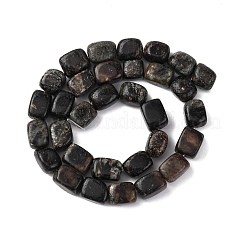 Natural Biotite Beads Strands&nbsp;G-D098-D15