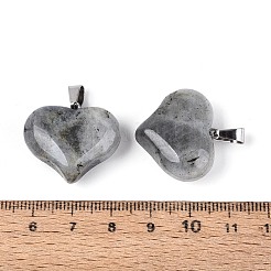 Natural Labradorite Pendants&nbsp;G-N361-01P-02