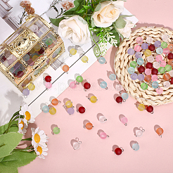 160Pcs Frosted Transparent Glass Charms&nbsp;PALLOY-ME00024
