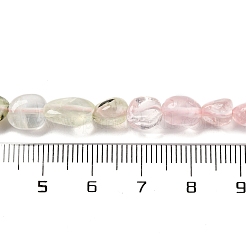 Natural Prehnite & Rose Quartz Beads Strands&nbsp;G-L610-B09-01