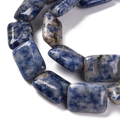 Natural Blue Spot Jasper Beads Strands&nbsp;G-T047-B10-01