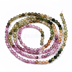 Gradient Style Natural Multicolor Tourmaline Strands&nbsp;G-S362-075