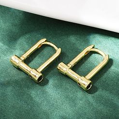 Brass Micro Pave Cubic Zirconia Lock Hoop Earrings&nbsp;EJEW-B146-01G