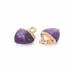 Natural Amethyst Charms&nbsp;G-N326-121-03