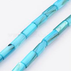 Natural Shell Bead Strands&nbsp;BSHE-P016-M
