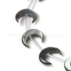 Natural Black Shell Beads&nbsp;BSHE-B005-14
