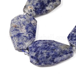 Natural Blue Spot Jasper Beads Strands&nbsp;G-P548-B10-01