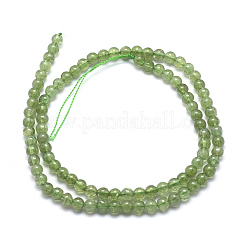 Natural Green Apatite Beads Strands&nbsp;G-K224-08-4mm