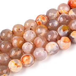 Dyed & Heated Natural Fire Crackle Agate Beads Strands&nbsp;G-N359-01B-10