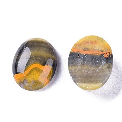 Natural Bumblebee Jasper Cabochons&nbsp;G-A179-01D