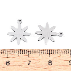 304 Stainless Steel Charms&nbsp;STAS-P433-03P