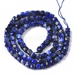 Natural Lapis Lazuli Beads Strands&nbsp;G-R460-038