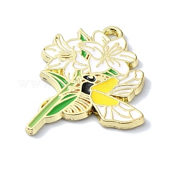 Alloy Enamel Pendants&nbsp;FIND-Q102-07B