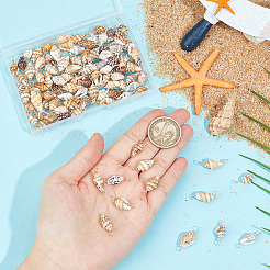 100Pcs 2 Colors Natural Shell Connector Charms&nbsp;PALLOY-AB00235