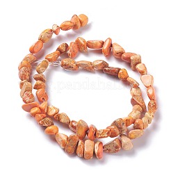 Natural Imperial Jasper Bead Strands&nbsp;G-P444-05B