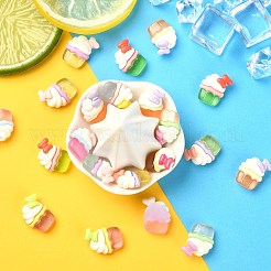 Opaque Resin Decoden Cabochons&nbsp;RESI-CJC0019-27