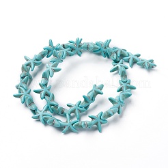 Synthetic Turquoise Beads Strands&nbsp;X-TURQ-L029-03A