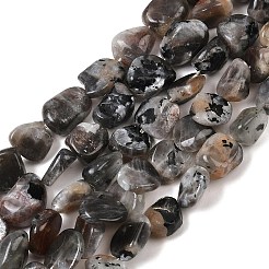 Natural Moonstone Beads Strands&nbsp;G-A284-A01-02