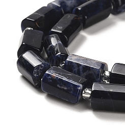 Natural Sodalite Beads Strands&nbsp;G-N327-06-28
