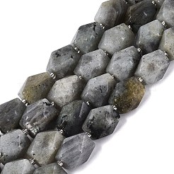 Natural Labradorite Beads Strands&nbsp;G-Q608-11E