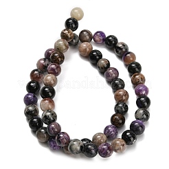 Natural Charoite Beads Strands&nbsp;G-G300-A01-8mm