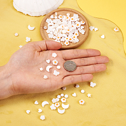 160Pcs 8 Styles Natural Freshwater Shell Beads Strands&nbsp;SHEL-TA0001-08