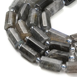 Natural Labradorite Beads Strands&nbsp;G-L634-W01-01