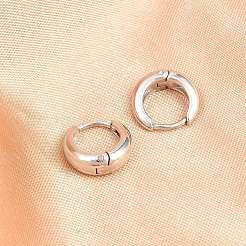 316 Surgical Stainless Hoop Earrings&nbsp;EJEW-C160-06B-P