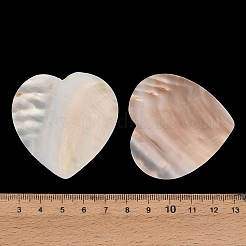 Natural Freshwater Shell Cabochons&nbsp;SHEL-C010-10A