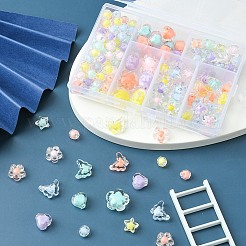 Transparent Acrylic Beads&nbsp;TACR-YW0001-78