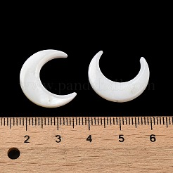 Natural Freshwater Shell Beads&nbsp;SHEL-H003-05