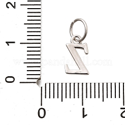 925 Sterling Silver Pendants&nbsp;STER-R011-07P-Z