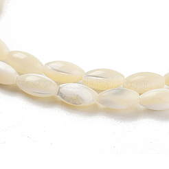 Natural Trochid Shell/Trochus Shell Beads Strands&nbsp;PBB513Y