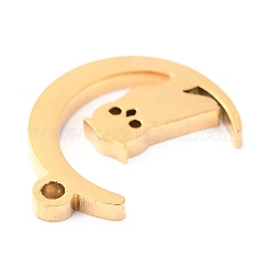 304 Stainless Steel Charms&nbsp;STAS-O142-40G