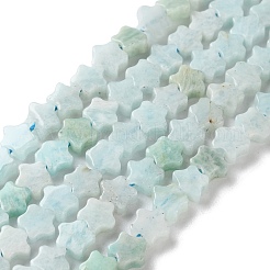 Natural Amazonite Beads Strands&nbsp;G-G085-B45-02