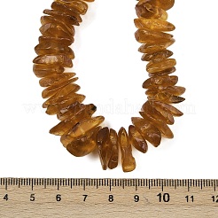 Natural Amber Chip Beaded Necklaces&nbsp;NJEW-L466-03A