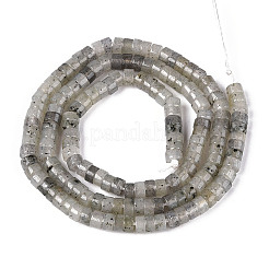 Natural Labradorite Beads Strands&nbsp;G-F631-A38