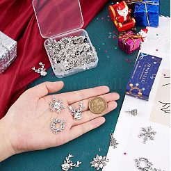 72Pcs 12 Style Tibetan Style Alloy Pendants&nbsp;FIND-SC0004-77