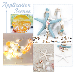 Natural Shell & Starfish Resin Cabochons Decorations&nbsp;SHEL-AR0001-13