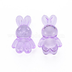 Transparent Acrylic Beads&nbsp;MACR-S373-81-B05