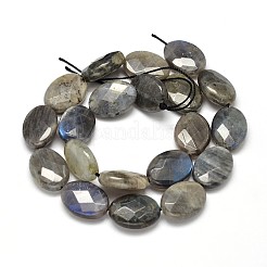 Flat Oval Natural Labradorite Bead Strands&nbsp;G-L357E-12