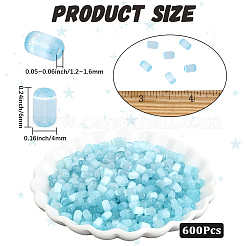 600Pcs Drawbench Style Glass Seed Beads&nbsp;SEED-PA0001-25A