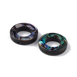 Natural Abalone Shell/Paua Shell Beads&nbsp;SSHEL-M021-06