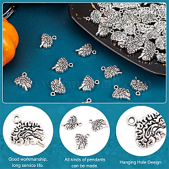 50Pcs Tibetan Style Alloy Charms&nbsp;TIBE-DC0001-01