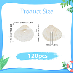 120Pcs Natural Freshwater Shell Beads&nbsp;BSHE-PA0001-04