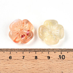 Transparent Acrylic Beads&nbsp;TACR-T028-40E