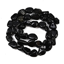 Natural Black Tourmaline Beads Strands&nbsp;G-Q060-E15