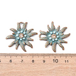 Tibetan Style Alloy Rhinestone Pendants&nbsp;FIND-B055-03