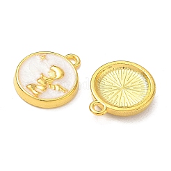 Alloy Enamel Pendants&nbsp;AL-CBA1599-04G